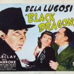 Black dragons
