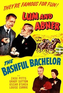 The Bashful Bachelor (1942)