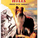 The Painted Hills