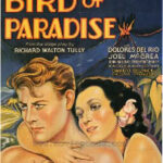 Bird of Paradise full movie