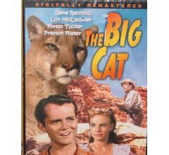 The Big Cat