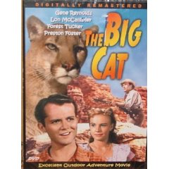 The Big Cat